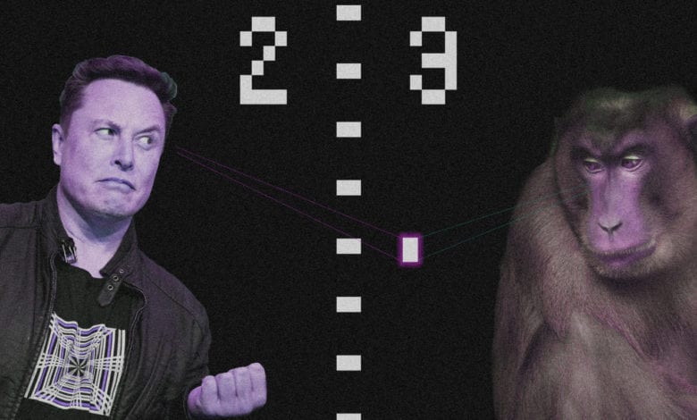 Pong with your mind