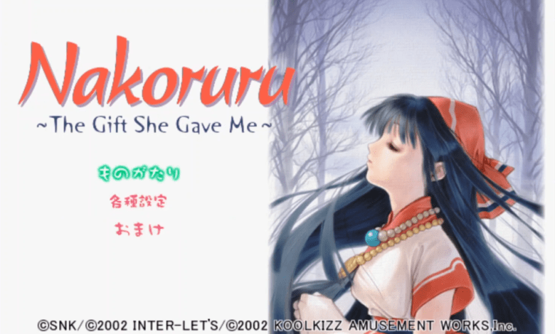 Samurai Shodown Translation