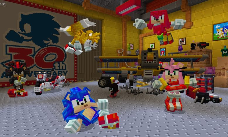 Sonic Minecraft