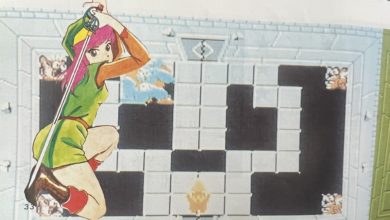 Female Link from Tips & Tactics