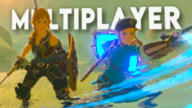 Breath of the Wild multiplayer mod thumbnail with two Links
