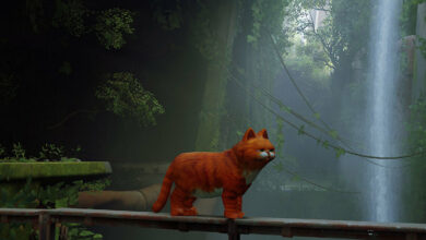 Garfield in Stray